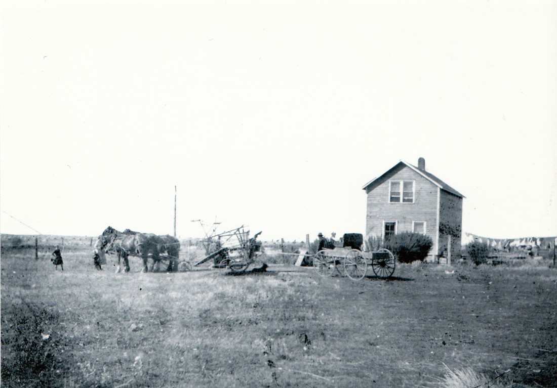 Ohlhausen, Henry H - Farm in Acme, AB
