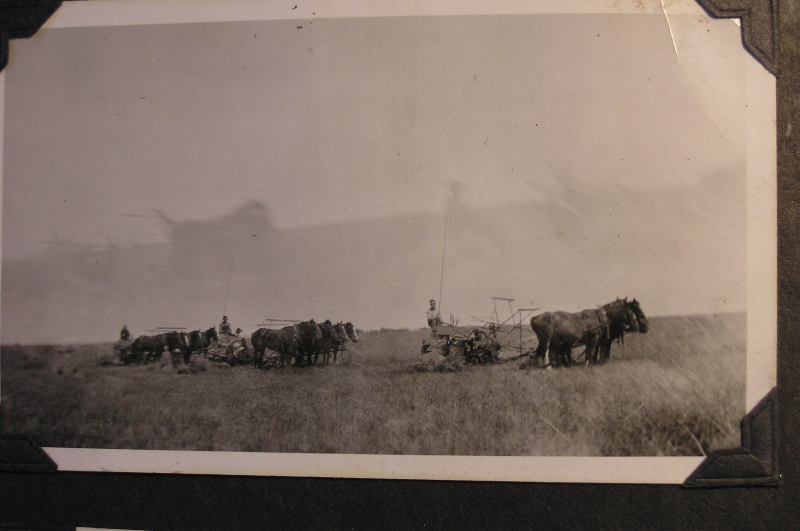 Ohlhausen, Henry H. - Farm